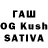 Псилоцибиновые грибы Psilocybine cubensis Rash