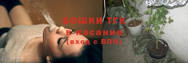 прущий лед Богородицк
