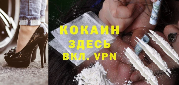 молекула духа Богородск