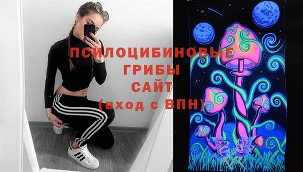 молекула духа Богородск