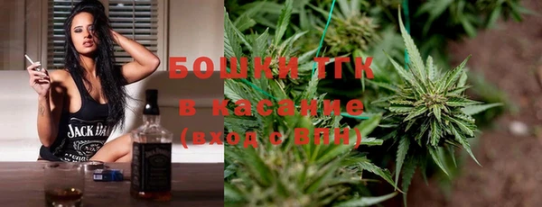молекула духа Богородск