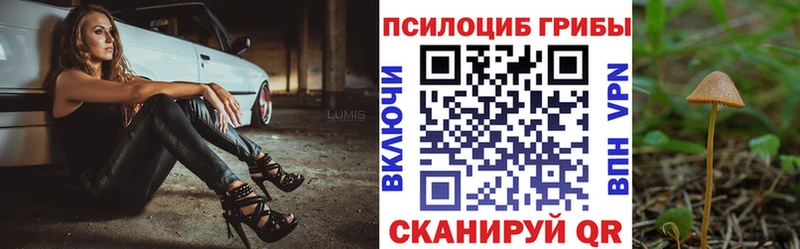 Галлюциногенные грибы Cubensis  Малоярославец 